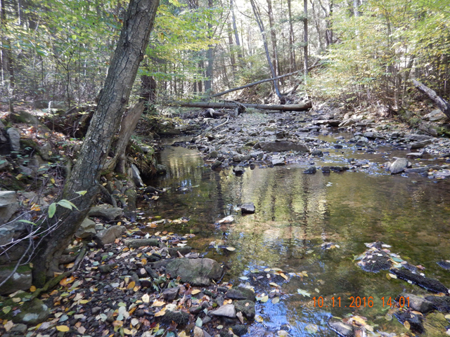 image008.jpg -                                In addition, the water was gin clear.  If you didn't approach low and slow, any fish there were gone.