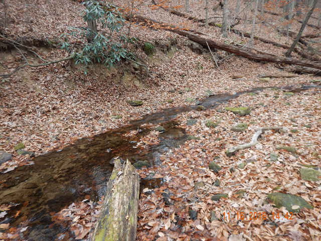 DSCN1778.jpg -                                Fowlers Hollow Run is but a trickle.  