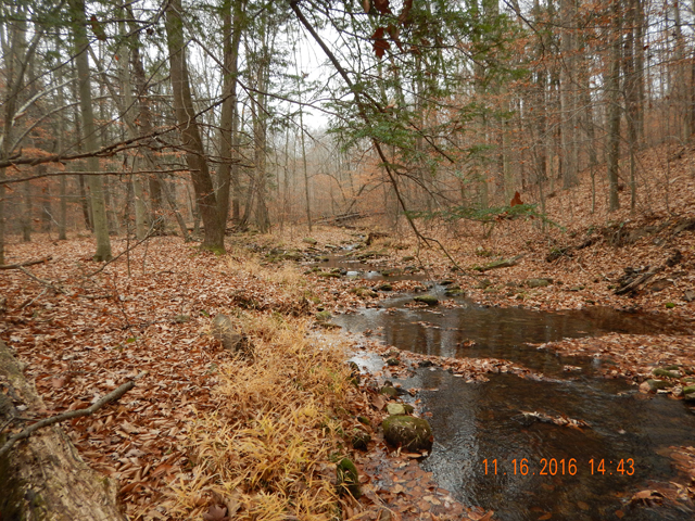 DSCN1780.jpg -                                I hiked further in and found some open water but accurate casting was a must as was properly playing the currents.