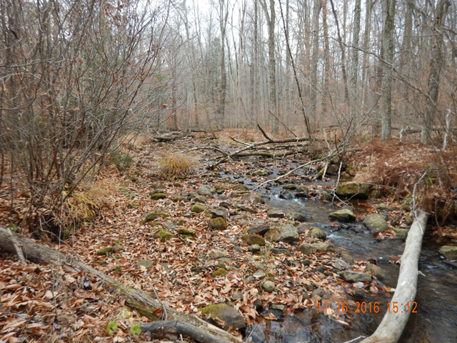 DSCN1782.jpg -                                Picking your spot and hitting it with the first cast was the formula for success.  I missed a bunch.