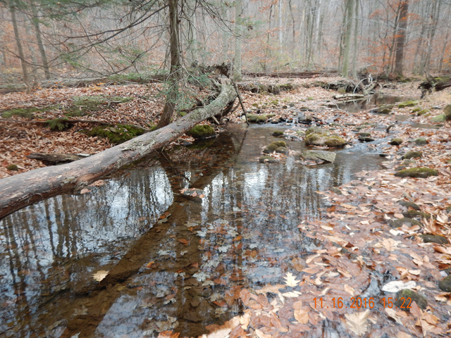 DSCN1783.jpg -                                The shadows were long and a low approach to these slow pools was required.