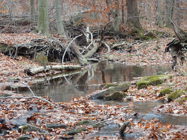 DSCN1784.jpg -                                Locations, like this, held wary trout. Usually you could only get one fish per hole.