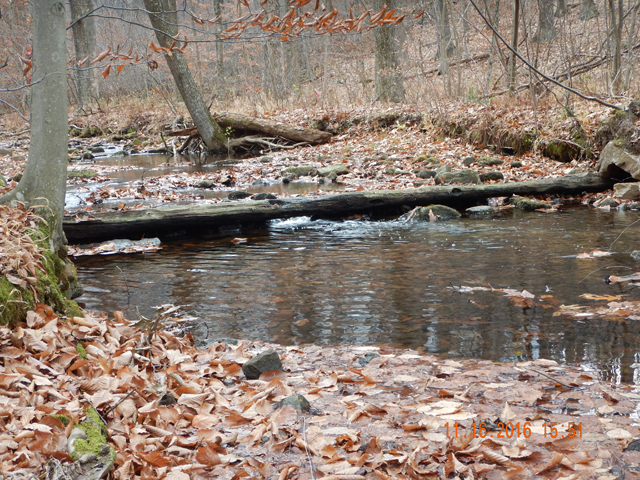 DSCN1786.jpg -                                The further I hiked up the valley, the better the water.