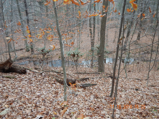 DSCN1787.jpg -                                As noted, the leaves made the fishing really tough but, if it were easy I probably wouldn't enjoy it quite as much.