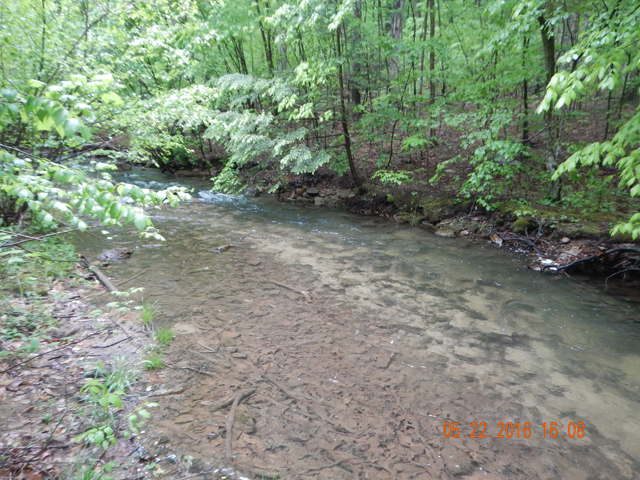 DSCN1309.jpg -                                Nice run...held a few fish.