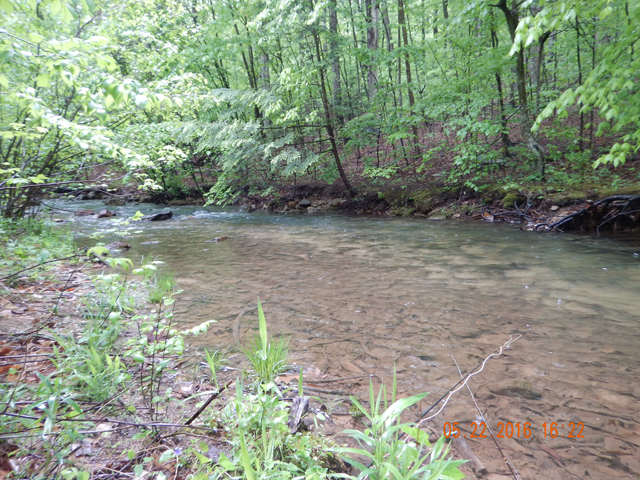 DSCN1313.jpg -                                