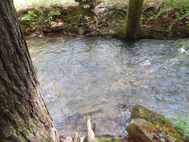 DSCN1324.jpg -                                