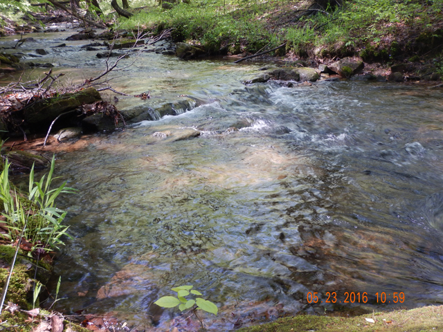 DSCN1331.jpg -                                
