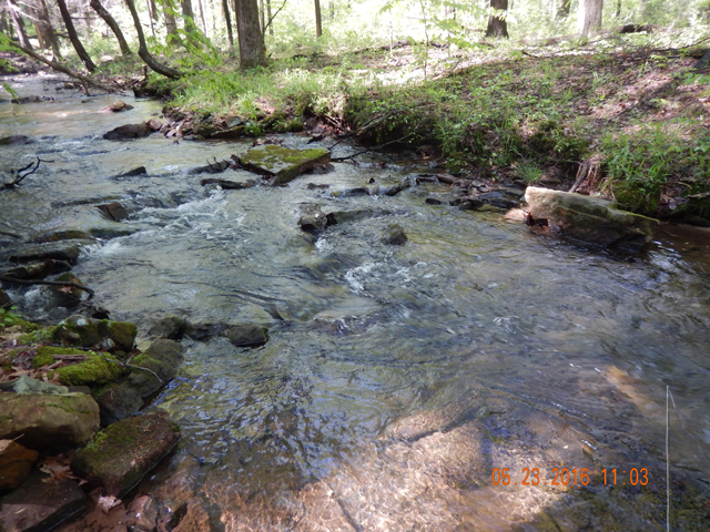 DSCN1333.jpg -                                