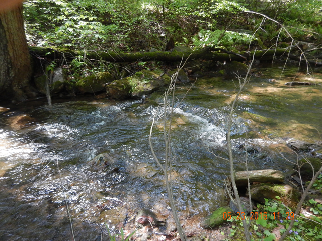 DSCN1340.jpg -                                