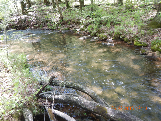 DSCN1353.jpg -                                