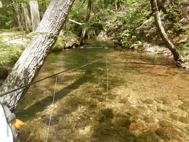 DSCN1356.jpg -                                