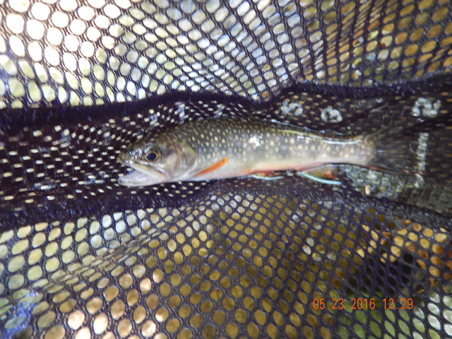 DSCN1357.jpg -                                