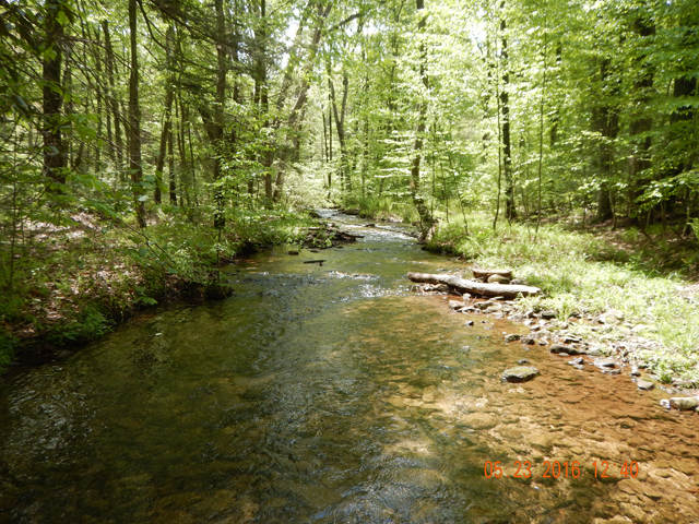 DSCN1361.jpg -                                