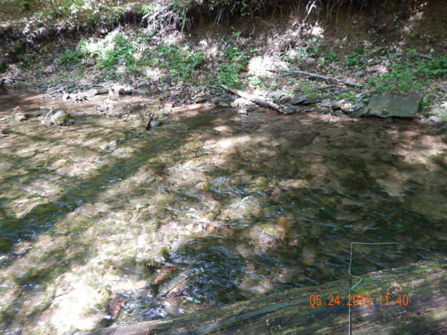 DSCN1374.jpg -                                