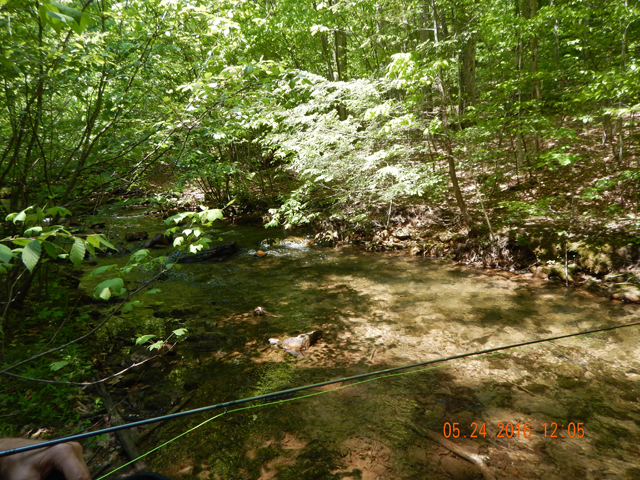 DSCN1376.jpg -                                This run held the previous fish.