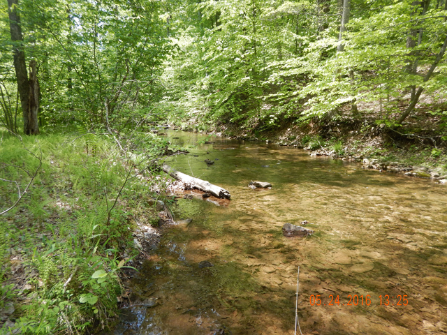 DSCN1380.jpg -                                Might have been the bright sun that chased the fish out of the skinny water.