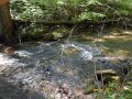 DSCN1340