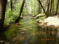 DSCN1342