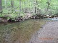 DSCN1368