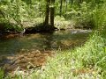 DSCN1378