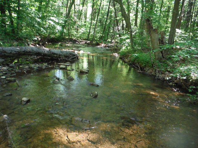 DSCF9390.jpg - Water was low and warming quickly.  Time to end trout fishing and concentrate on warm water fisheries.