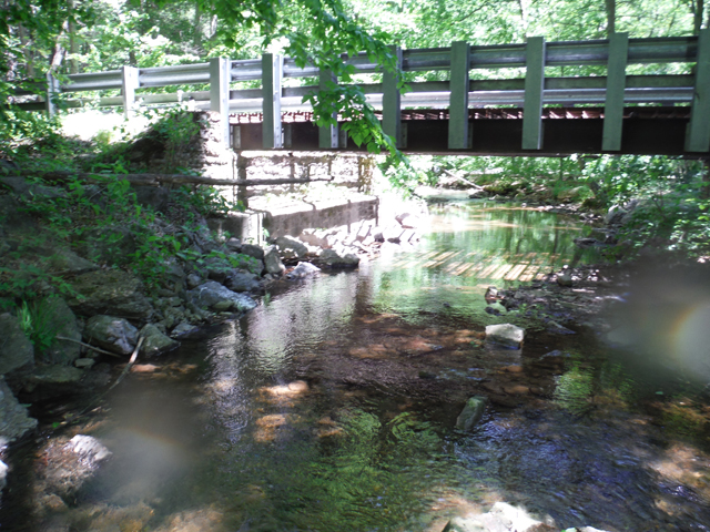 DSCF9403.jpg - Typically, pools around bridges hold a few fish.  This stream is no exception.