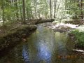 DSCN1459