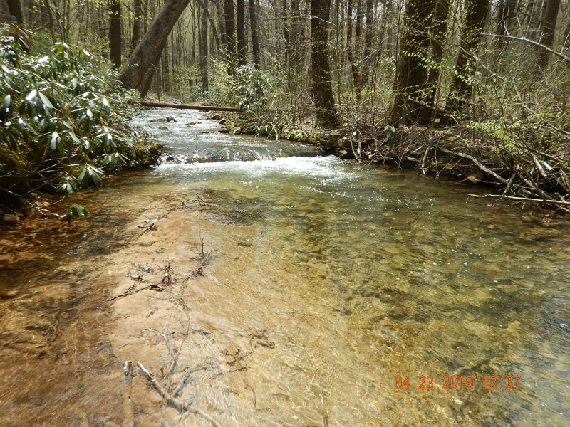 $FowlersHollowStatePark001$.jpg