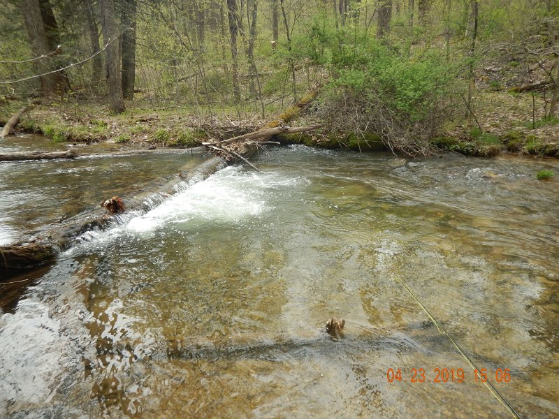 $FowlersHollowStatePark016$.jpg