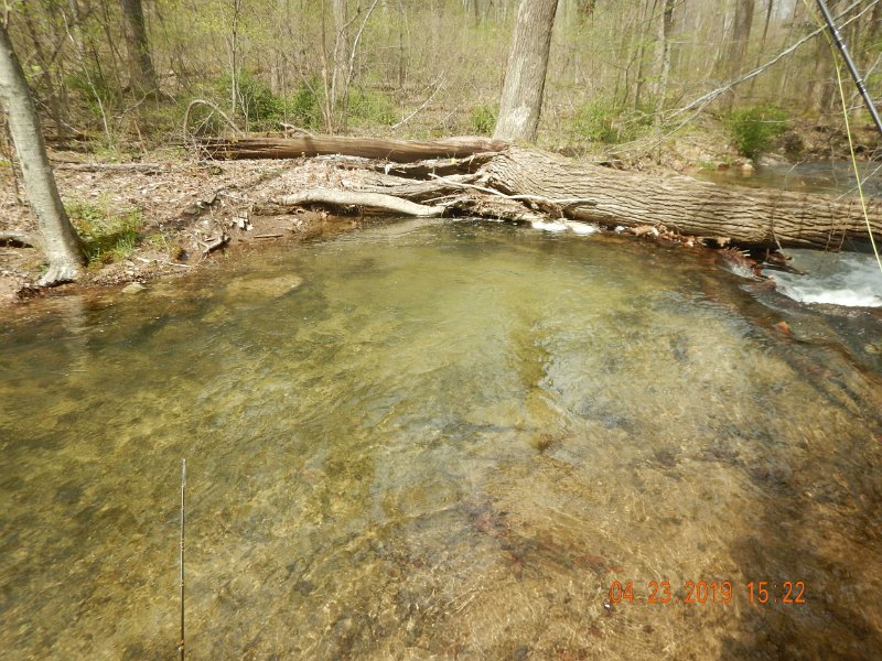 $FowlersHollowStatePark021$.jpg