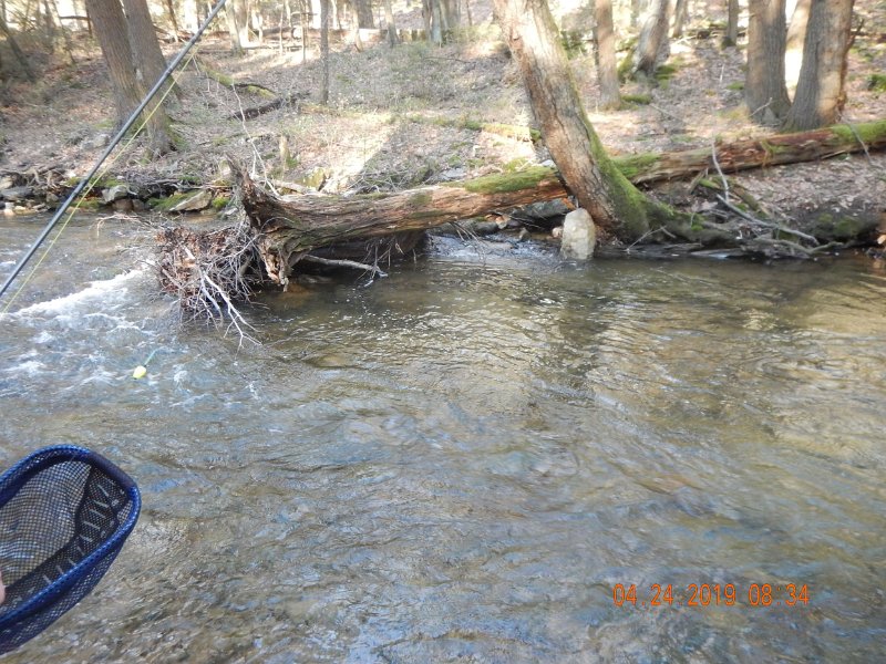 $FowlersHollowStatePark030$.jpg