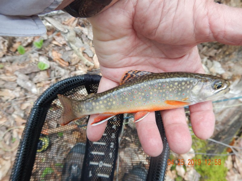 $FowlersHollowStatePark087$.jpg