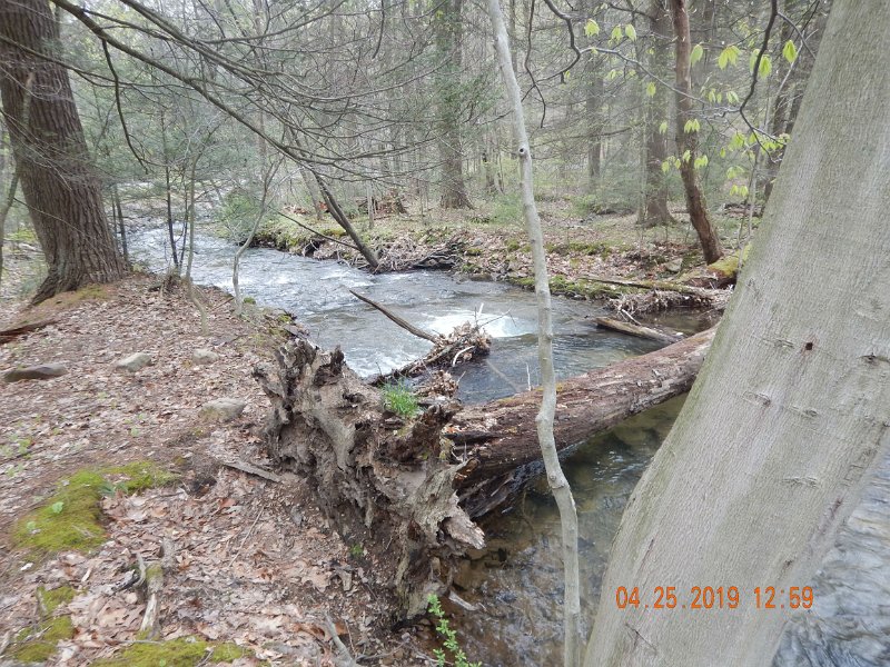 $FowlersHollowStatePark090$.jpg