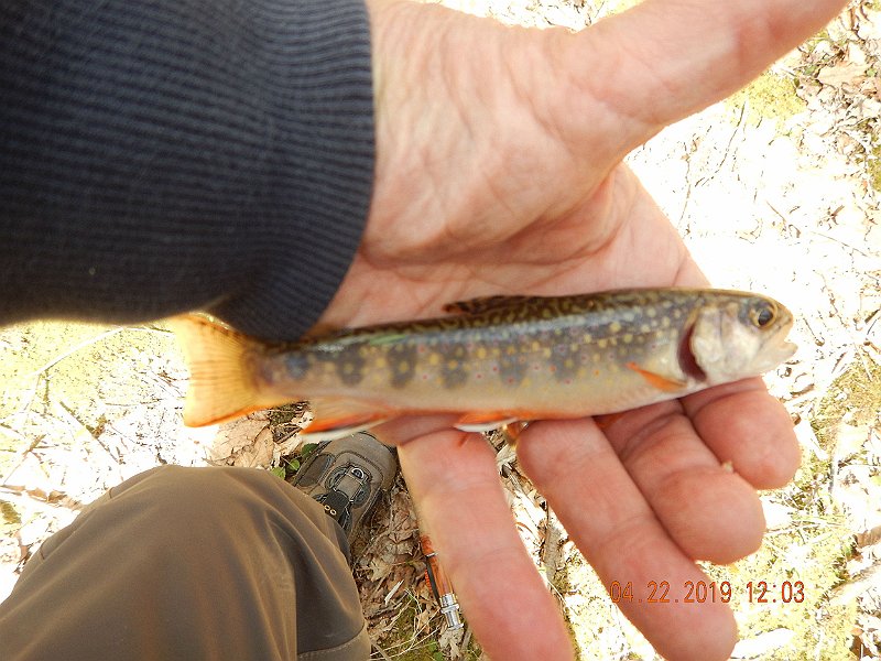 $FowlersHollowStatePark099$.jpg