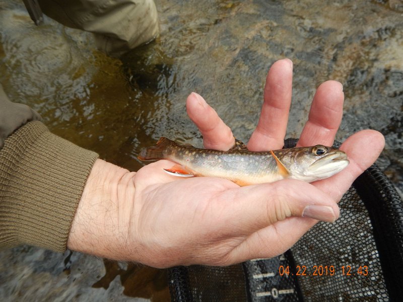 $FowlersHollowStatePark105$.jpg
