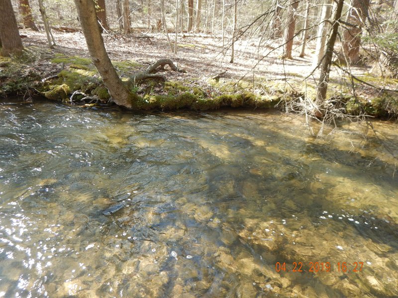 $FowlersHollowStatePark123$.jpg - I got a couple of fish from this run.