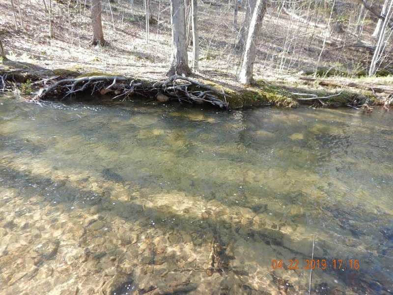 $FowlersHollowStatePark125$.jpg