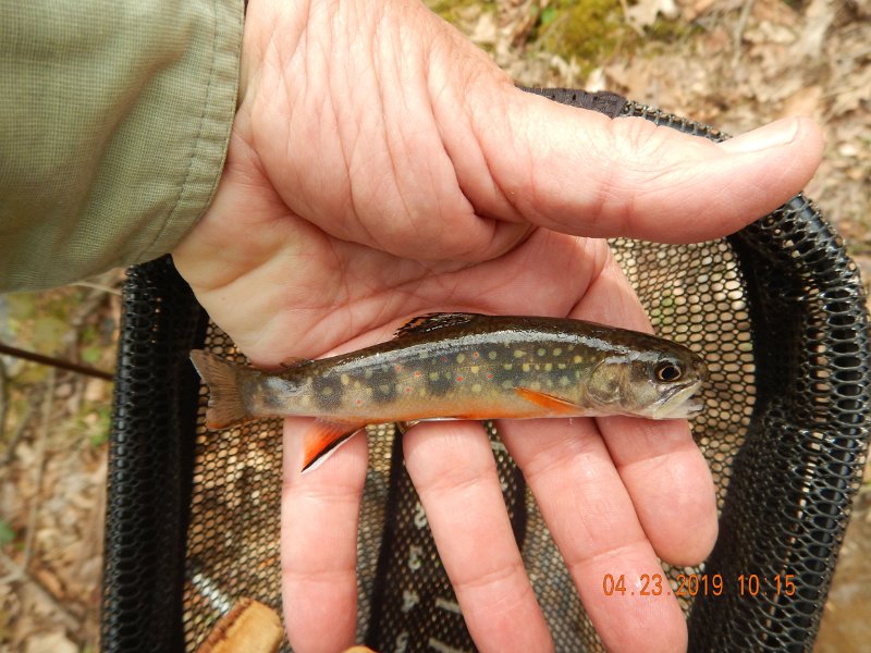 $FowlersHollowStatePark129$.jpg