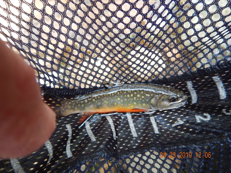 $FowlersHollowStatePark142$.jpg
