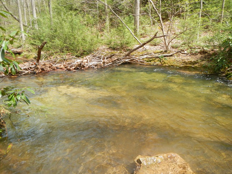 $FowlersHollowStateParkGW005$.jpg