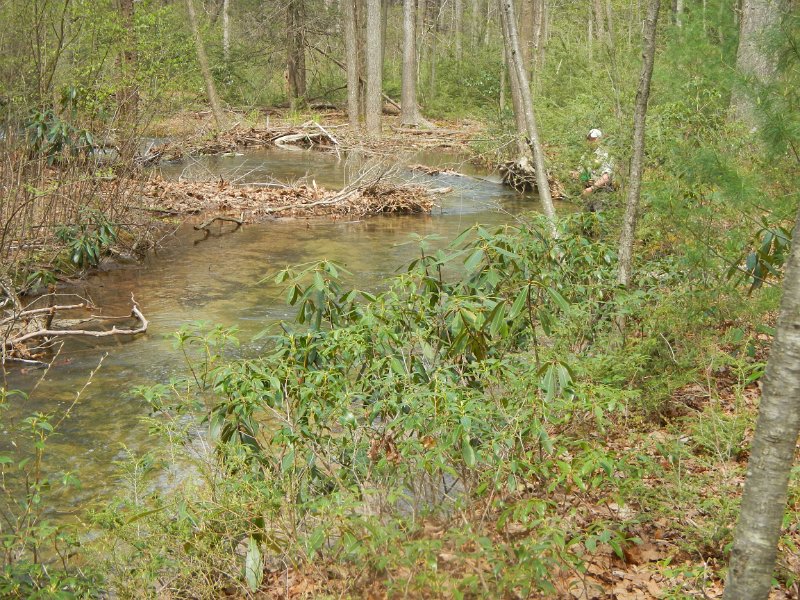 $FowlersHollowStateParkGW007$.jpg