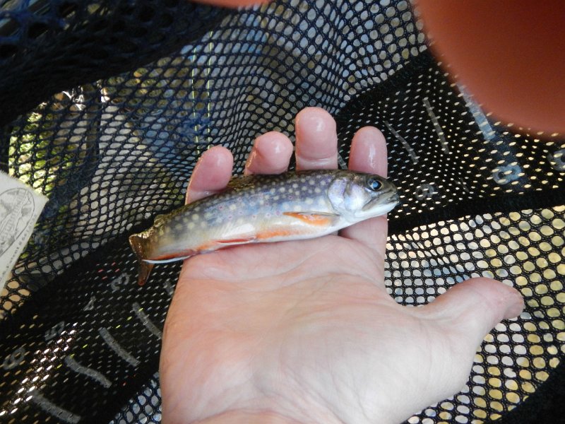 $FowlersHollowStateParkGW011$.jpg