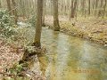 $FowlersHollowStatePark003$