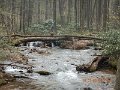 $FowlersHollowStatePark005$