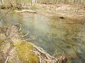 $FowlersHollowStatePark028$