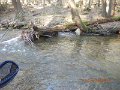 $FowlersHollowStatePark030$