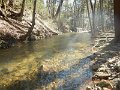 $FowlersHollowStatePark034$