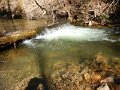 $FowlersHollowStatePark036$