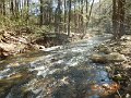 $FowlersHollowStatePark037$